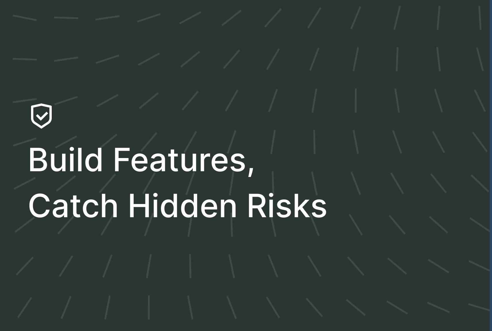 Qoder Security 用户实践